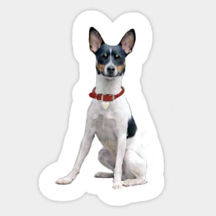 Rat Terrier - Just the Dog Sticker